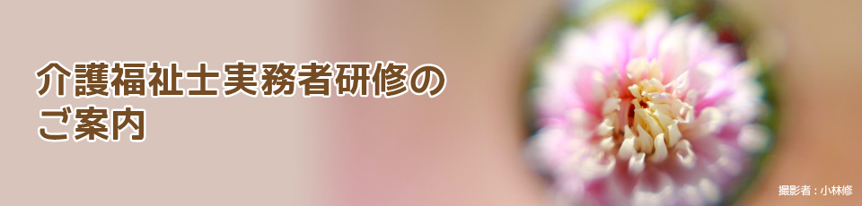 介護福祉士実務者研修のご案内